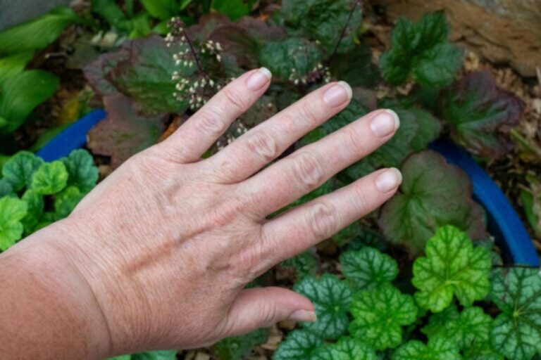 Tuinieren zonder ruwere handen: tips voor mooie nagels