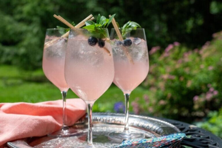 Switchel: De Verfrissende Vijfgeneratie-drank Tegen Zomerdrang